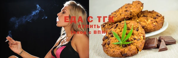 тгк Абаза
