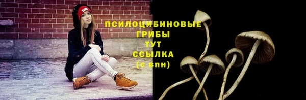 спайс Абинск